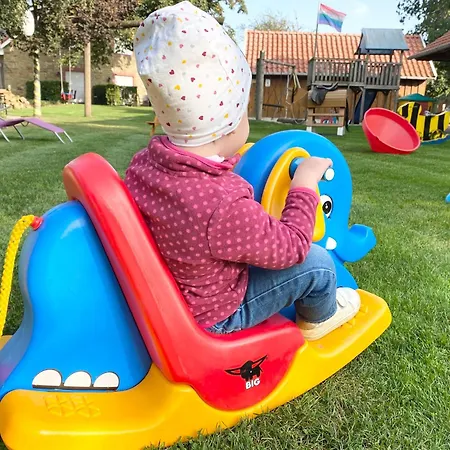 Wuebbold - Buchsbaum * Rieste