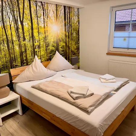 Ela's Hof - Buchsbaum * Rieste